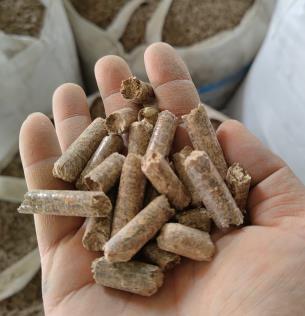 ��ľ����