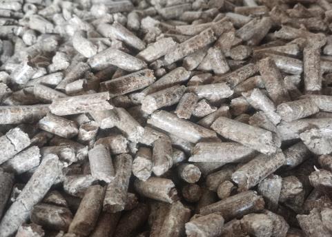 ��ľ����