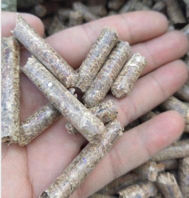 ��ľ����